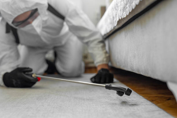 Professional Emergency Pest Control technician working in Holly Springs, MS