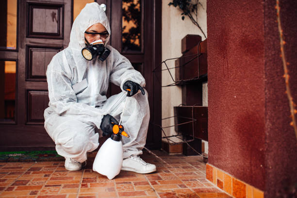 Reliable Emergency Pest Control contractor in Holly Springs, MS by Nex Pest Control