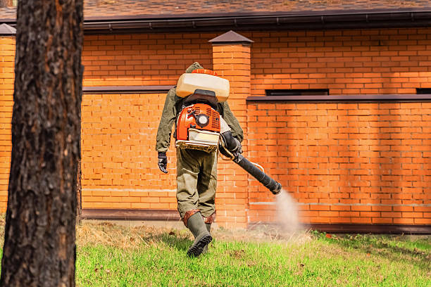 Trusted Ant Control service in Holly Springs, MS - Nex Pest Control
